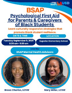 bsap flyer